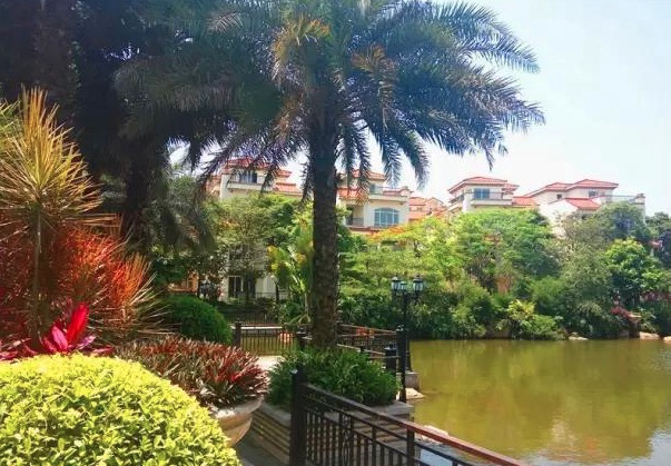 1627180988109124.png image.png