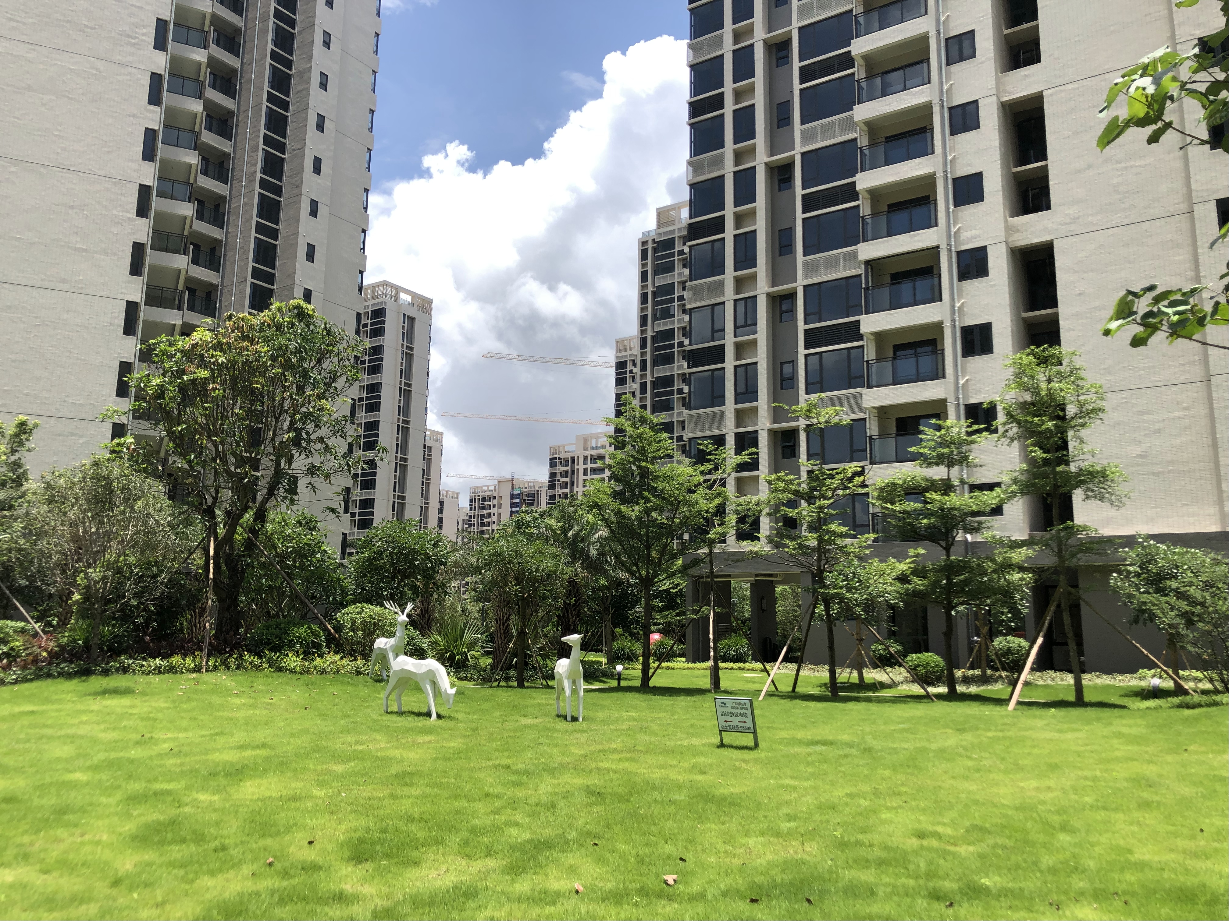 1627197642736983.jpg 423ba2f58ad6606296d20106df30b16b.jpg